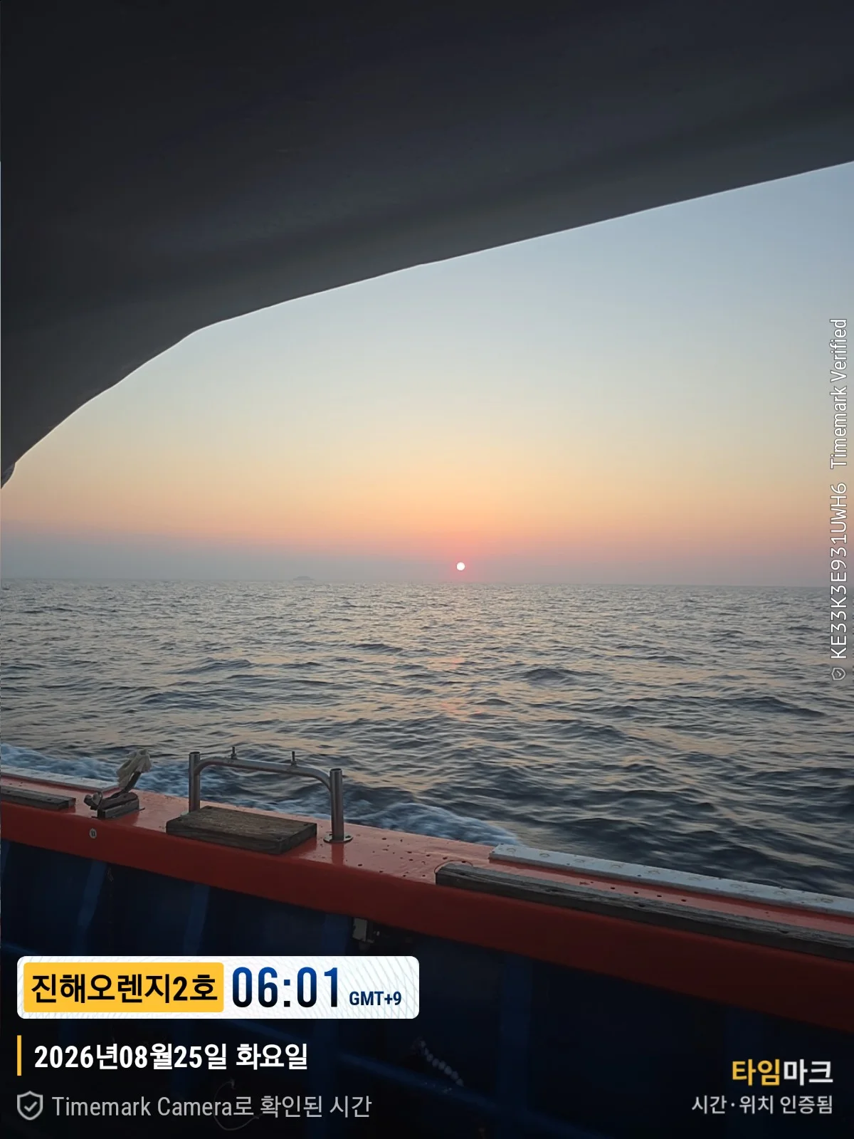 먼바다갈치조황 2026-08-24 오렌지호 조황 사진 12
