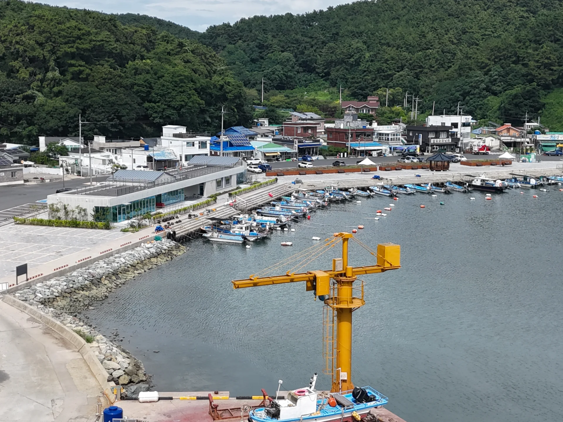 먼바다갈치조황 2026-08-27 오렌지호 조황 사진 4